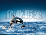 大连世通通信工程有限公司